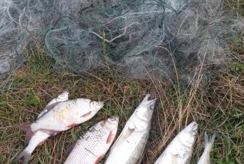 В течение недели в Калининградской области были проведены 33 рейда по отлову рыбаков-браконьеров