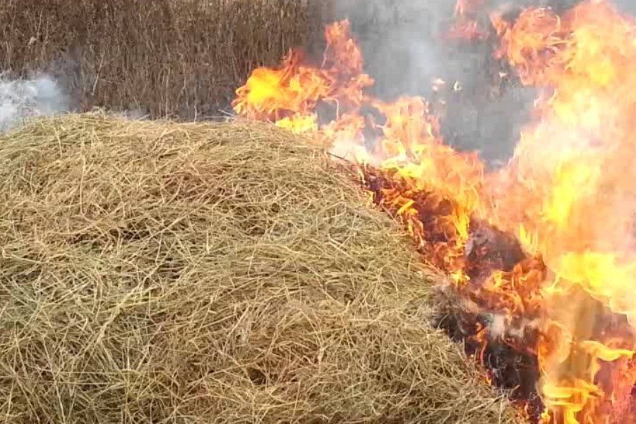 В поселке на востоке Калининградской области горело полторы тонны сена