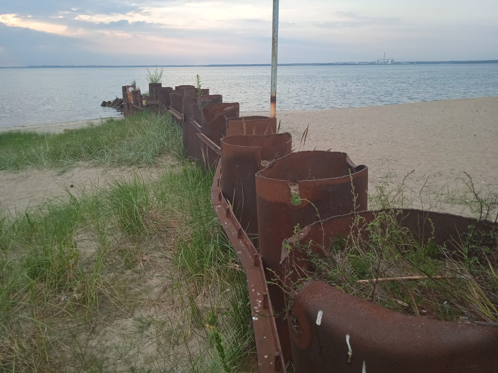 В Калининградской области в залив выпустили 143 тысячи штук молоди сига