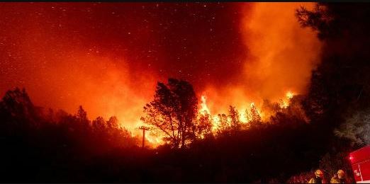США пылает: в Америке лесные пожары продолжают отнимать людские жизни
