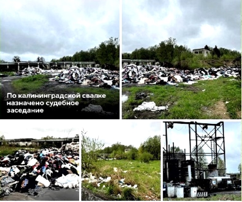 Переработчик отходов выявил в Росприроднадзоре по Калининградской области действующую ОПГ
