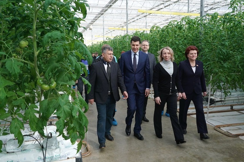Россельхознадзор подтверждает слова Путина «о росте» сельхозпроизводства в Калининградской области