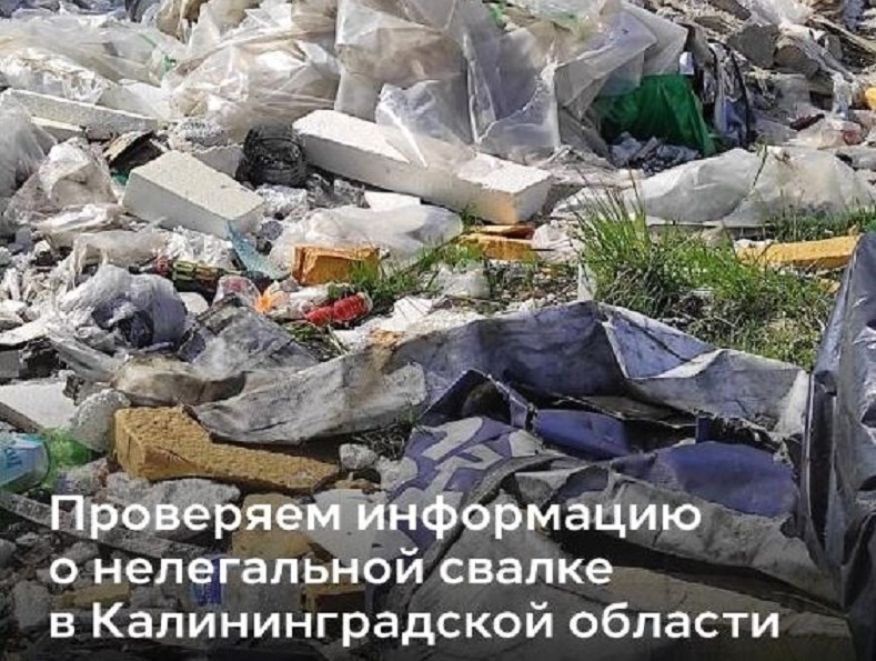 Нас читают: Руководитель службы по надзору в сфере природопользования Светлана Радионова откликнулась на публикацию НИА-Калининград