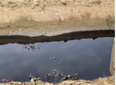 В Калининградской области Росприроднадзор объявил предостережение по факту возможного загрязнения реки Тростянка