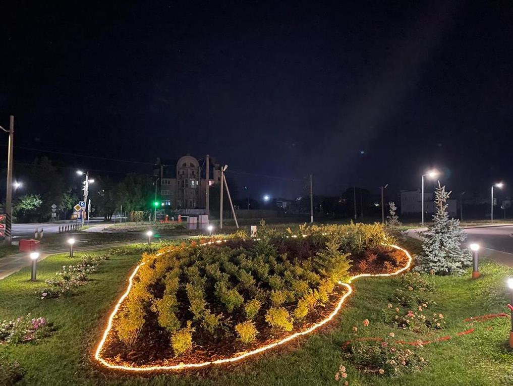 В городе-курорте под Калининградом нашли необычное решение с подсветкой клумбы