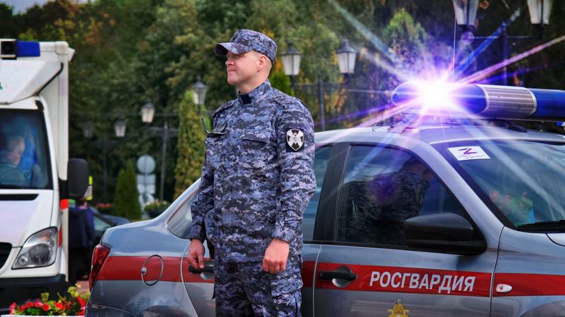 В Калининградской области мужчины угрожали женщине пневматическим пистолетом