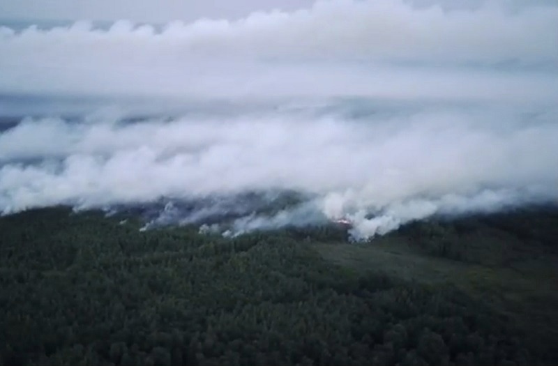 Аномально жара привела к росту ландшафтных пожаров в Калининградской области