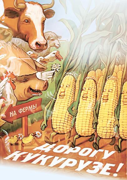 В России, спустя шесть десятилетий, произошла кукурузная революция