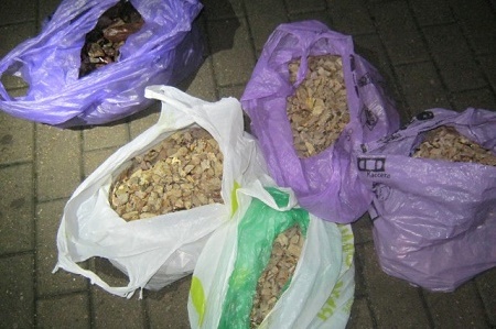 Пограничники Калининградской области  обнаружили и изъяли около 18 кг контрабандного янтаря