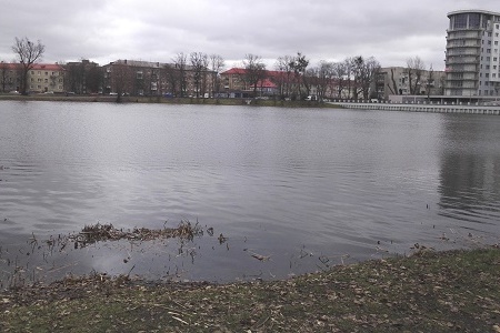 Жителям Калининграда предложили выбирать название для прудов в парке Южном