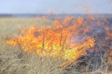 В Калининградские области пожарные в конце января тушат горящую траву