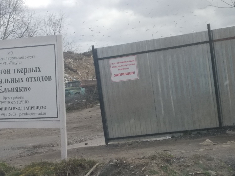 Экологи просят проверить расширение свалки под Калининградом