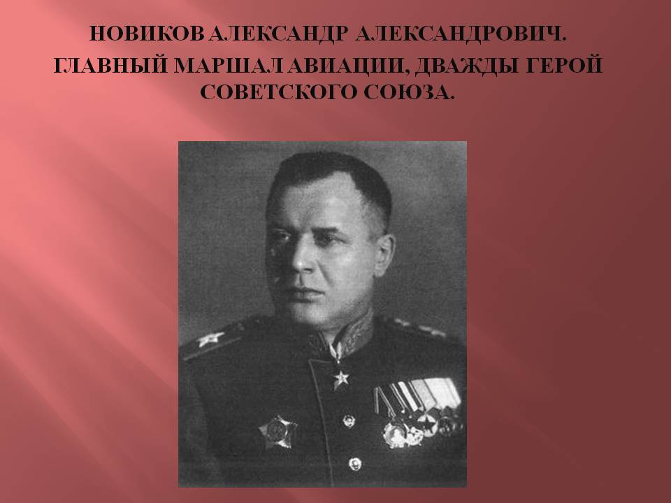 Андрей Колесник предложил присвоить аэродрому «Девау» имя маршала Новикова
