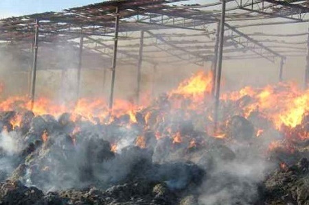 В посёлке Черняхово у ООО «Долгов и Компания» сгорело 100 тонн сена