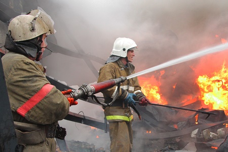 В посёлке Домново в сарае сгорел автомобиль «Фольксваген Пассат»