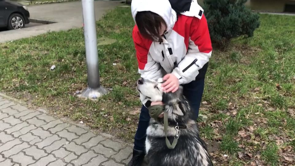 В Калининграде подросток и собака поймали вора