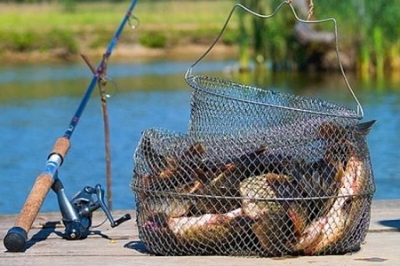 В 2020 году рыбаки-любители рыбачить будут по-новому