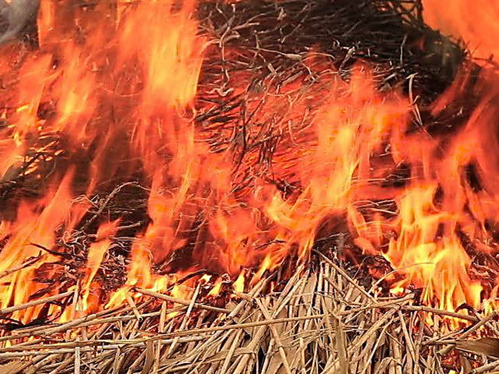 В Калининградской области накануне сгорело 70 тонн сена