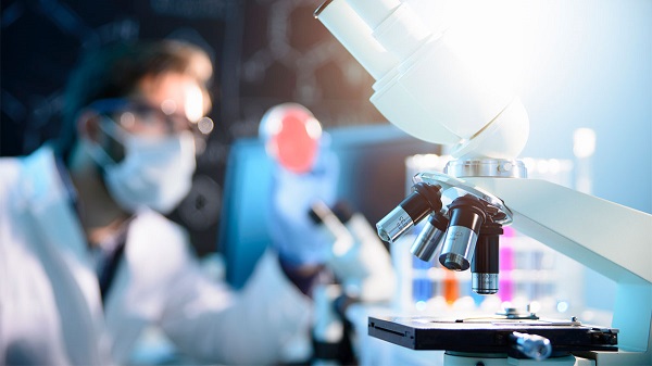 Российские ученые приняли участие в разработке препарата, защищающего сосуды от появления тромбов