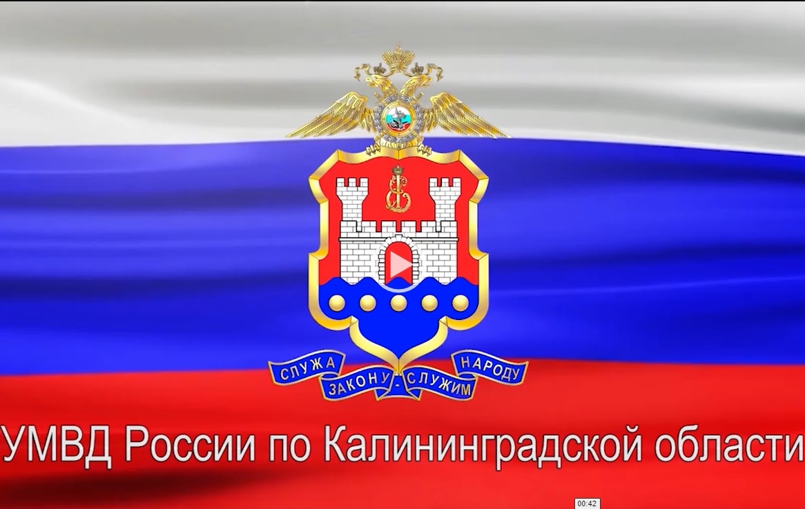 МВД разъясняет порядок работы нового цифрового сервиса постановки на учёт по месту пребывания