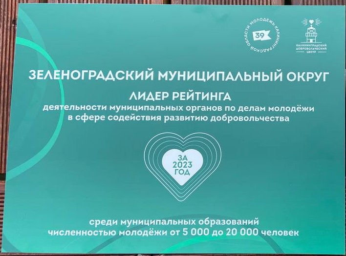 Зеленоградский муниципальный округ стал лучшим в сфере содействия развитию добровольчества в Калининградской области по итогам 2023 года