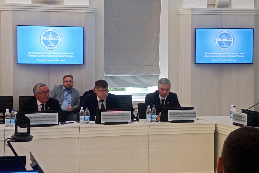 Председатель Законодательного Собрания Калининградской области: у муниципалитетов появится законное основание для очистки водоемов
