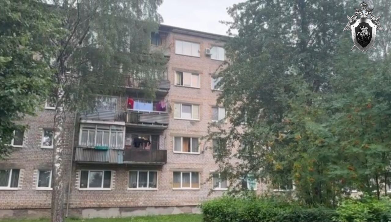 Накануне две двухлетние девочки выпали из окна в Калининграде и области