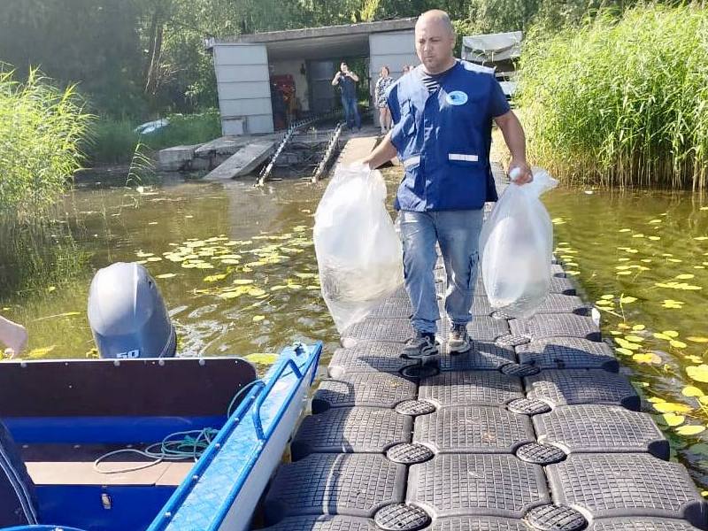 В Калининградской области выпустили на волю 20 000 мальков сига