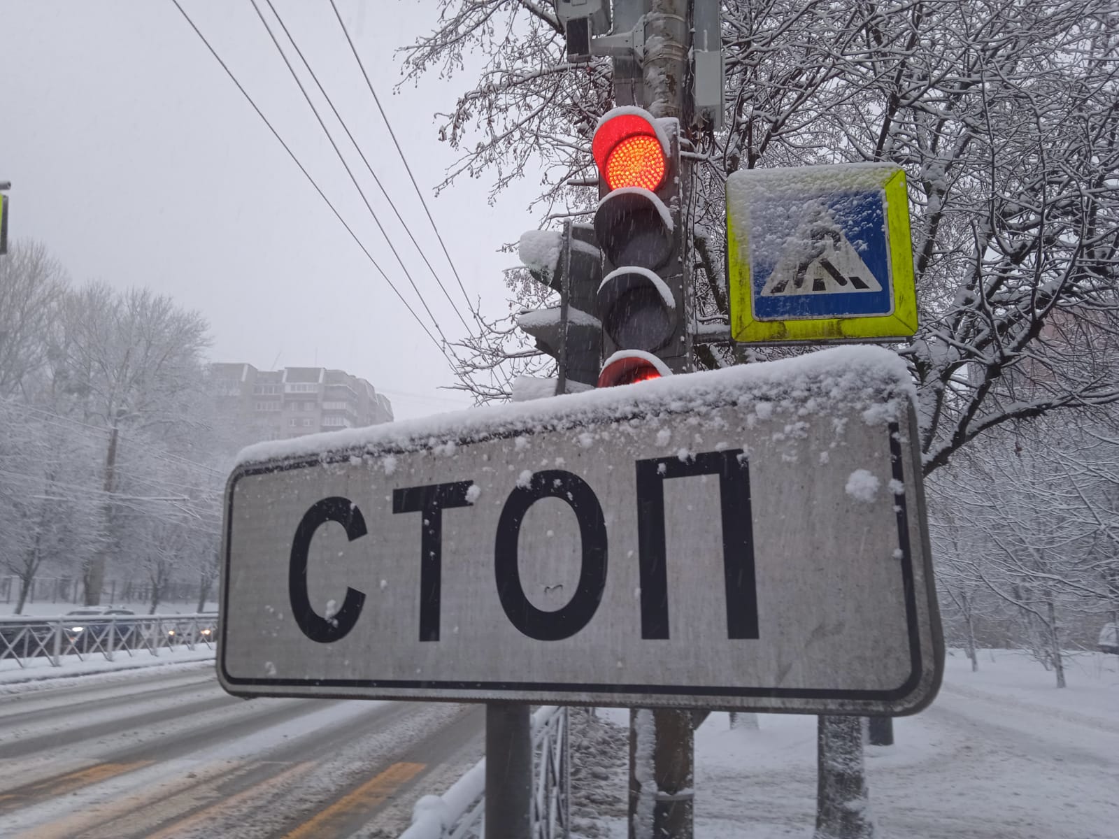 В понедельник в Калининграде выключат светофор на улице Александра Невского