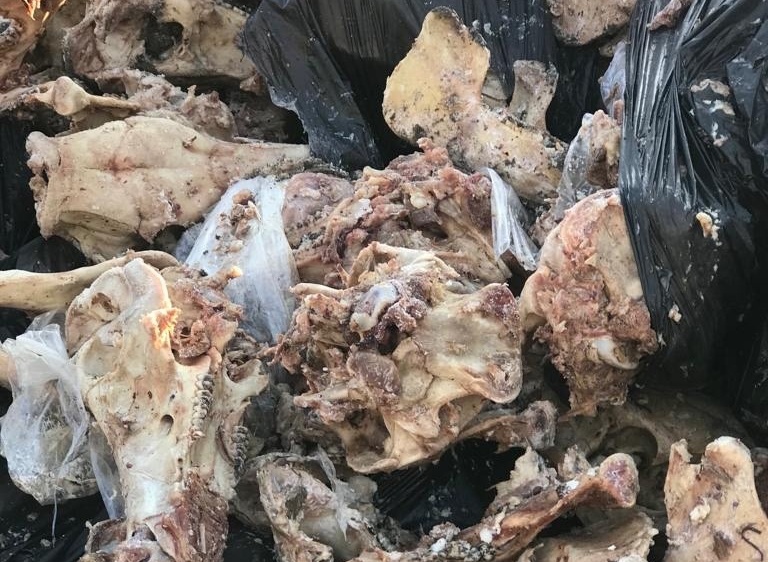 Минприроды проверит, откуда появилась свалка с костями животных в Калининграде