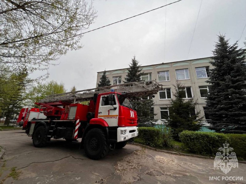 На прошлой неделе в Калининградской области произошло 80 пожаров