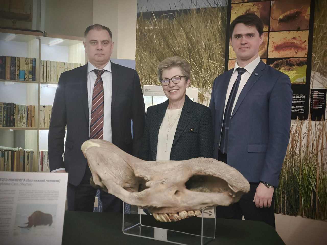 Изъятый на таможне в Калининграде череп шерстистого носорога пополнил коллекцию Музея Мирового океана