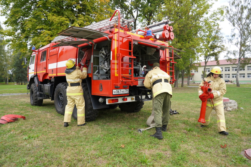 В Калининграде оставленная на плите кастрюля едва не стала причиной пожара