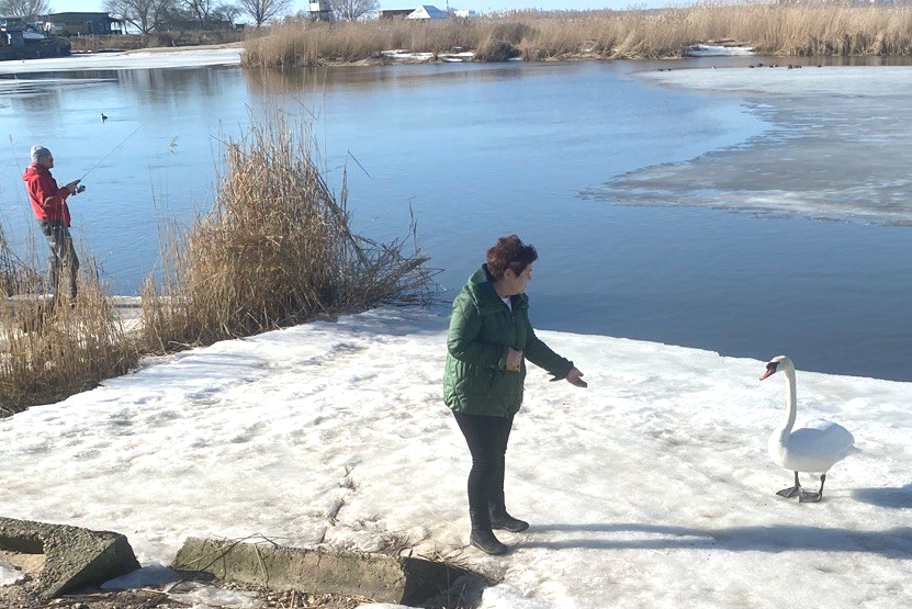 Фотоэтюд: весенние мысли вслух