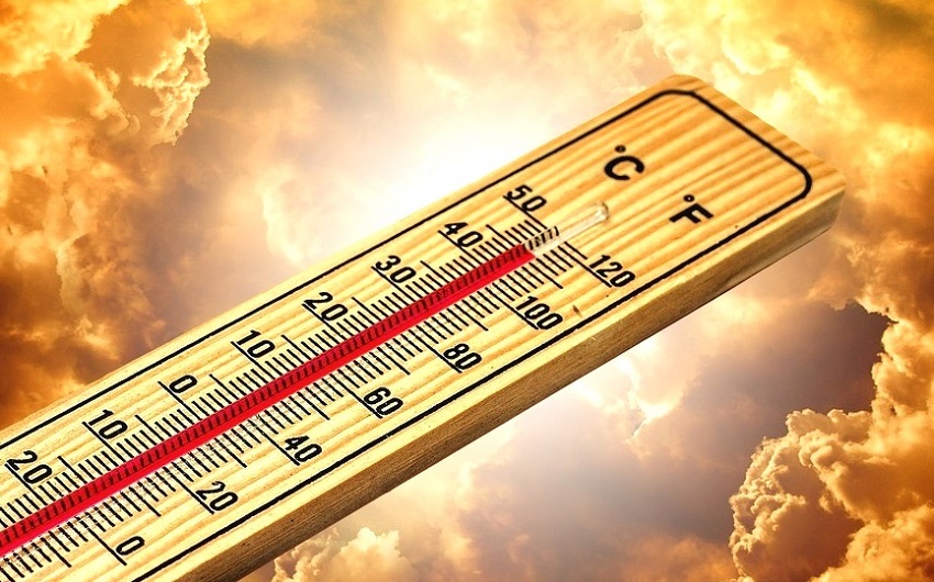 Принесёт ли Эль-Ниньо* рекордную жару в Калининградскую область: мнения разделились