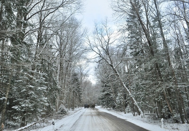 В Калининградской области число нарушений лесного законодательства сократилось на 40%