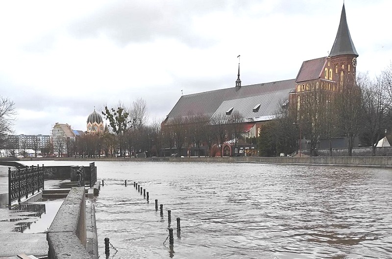 МЧС: последствия штормового ветра в Калининградской области