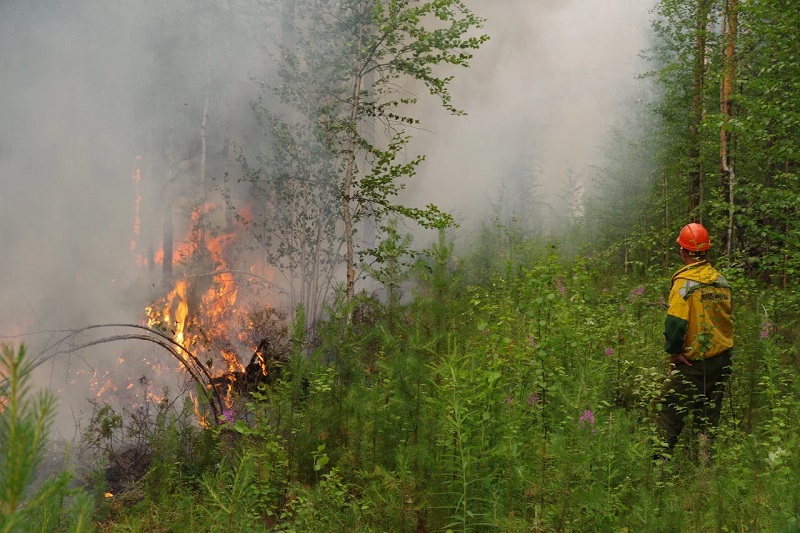 Авиалесоохрана: Калининградская область находится в зоне риска лесных пожаров
