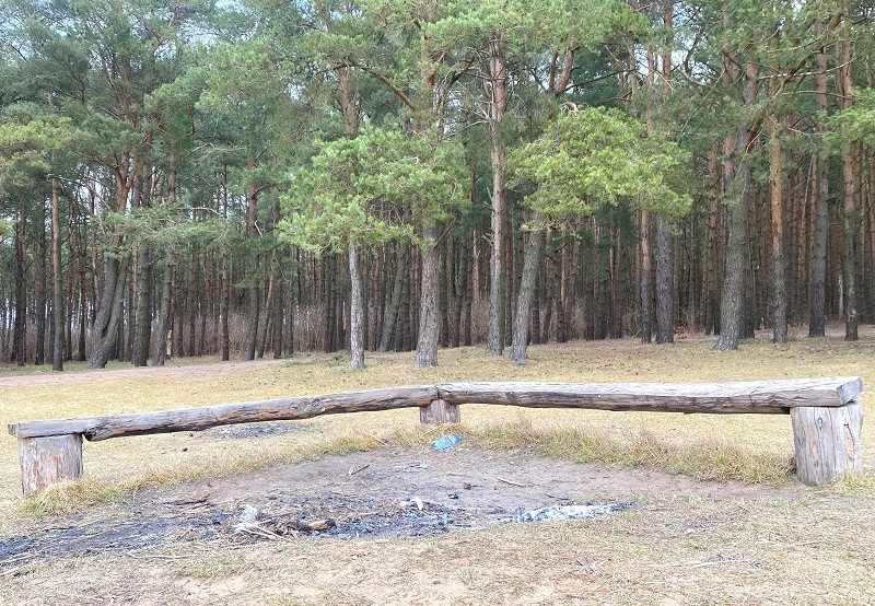 Власть: в Калининградской области на 21 день въезды в леса перекроют шлагбаумами