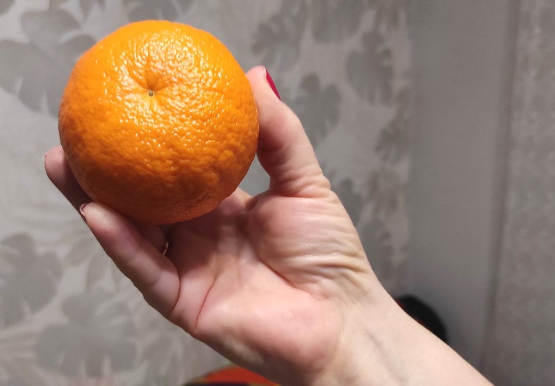 В Калининградскую область в преддверии Нового года завезли более 700 тонн импортных мандаринов и клементинов