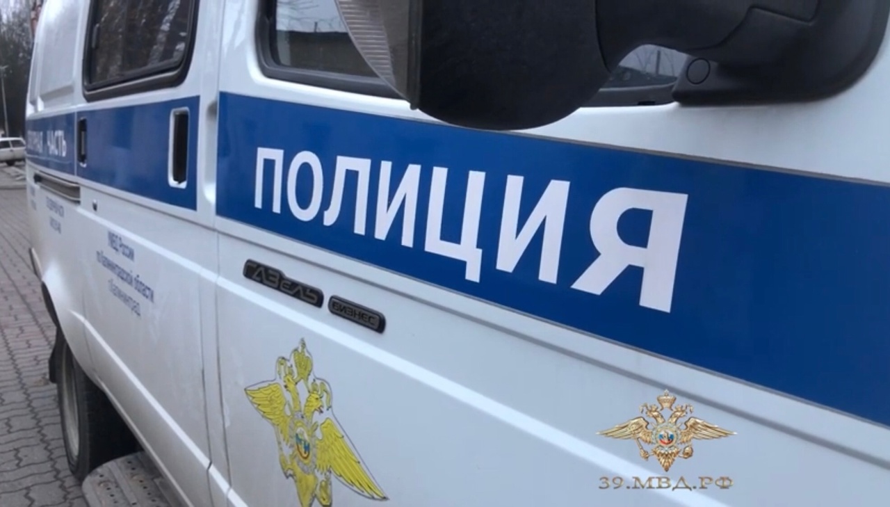 В Калининградской области полицейские разыскали украденную вьетнамскую свинью