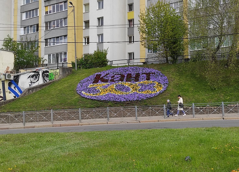 В Калининградской области число умерших превысило число родившихся в 1,8 раза