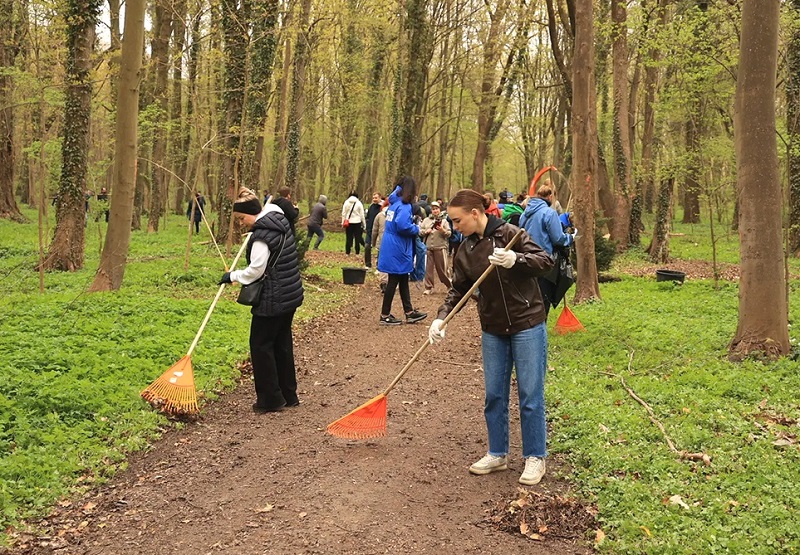 В Калининградской области из 1 032 900 человек более 7 тысяч приняли участие в субботниках