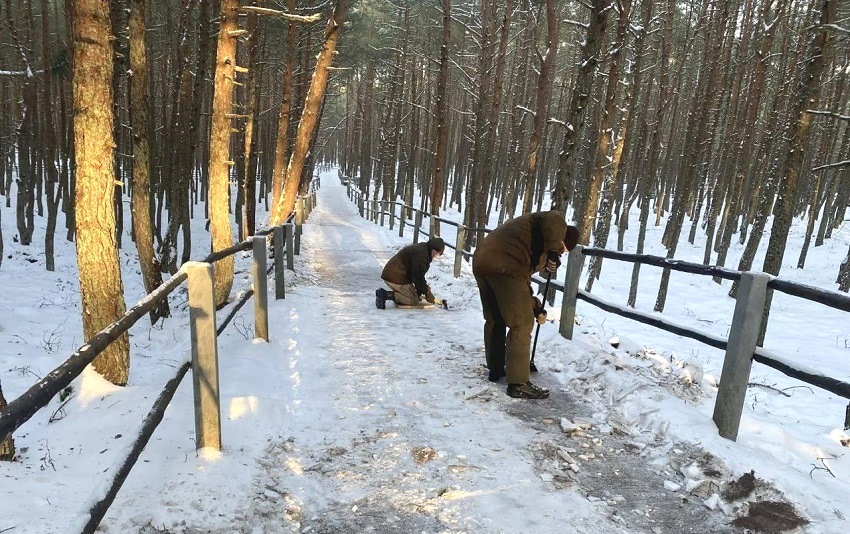 На Куршской косе закрыли часть экологических троп и переходов через авандюну