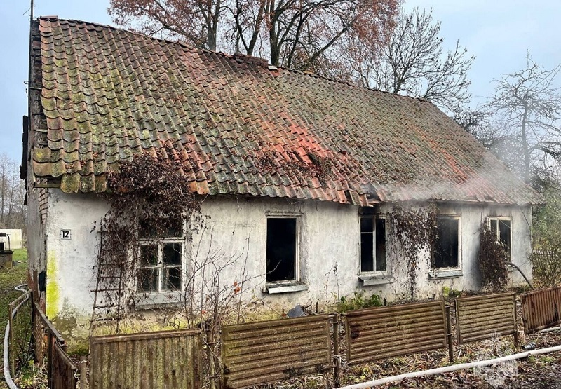 Обошлось без жертв: огнеборцы МЧС России спасли из горящего дома кота