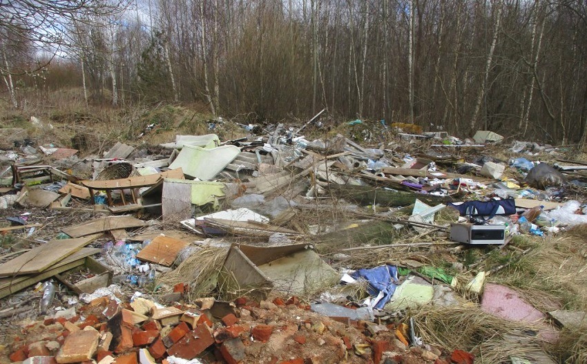 В Калининградской области в 2025 году на 2 041 земельном участке были выявлены нарушения