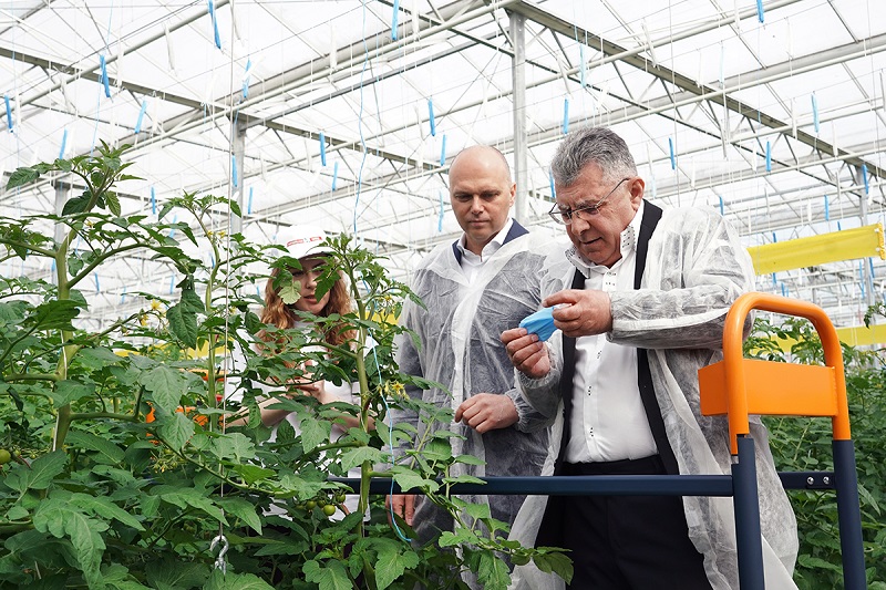 Церемония для губернатора: под Калининградом ввели в строй очередную теплицу