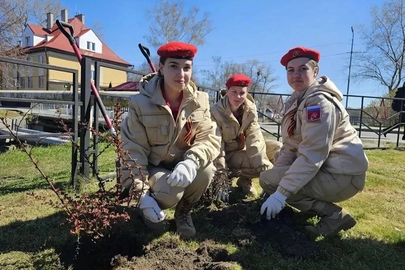 В Балтийске прошла международная акция «Сад памяти»