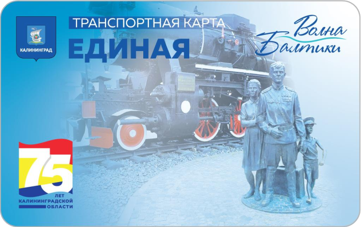 Волна балтики транспортная карта