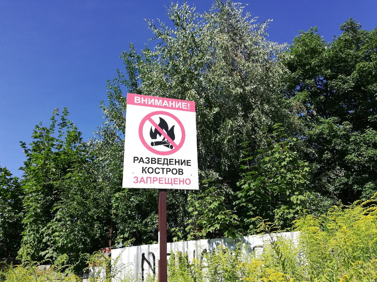 Почему закрыта лесная. Посещение леса запрещено. Въезд в лес запрещен. Леса закрыты для посещения. Запрещается посещать лес.